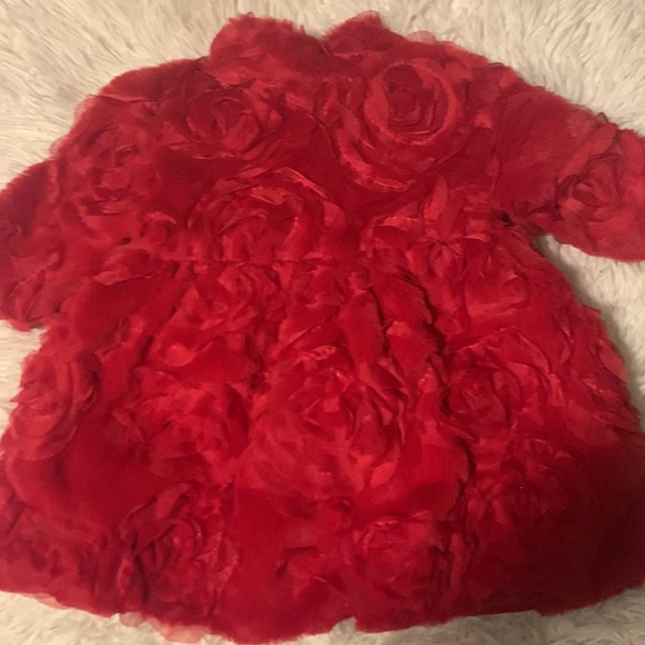 Baby Red Rose Patterned Jacket - Picture 2 of 3